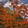 鈴鹿スカイライン秋景　６