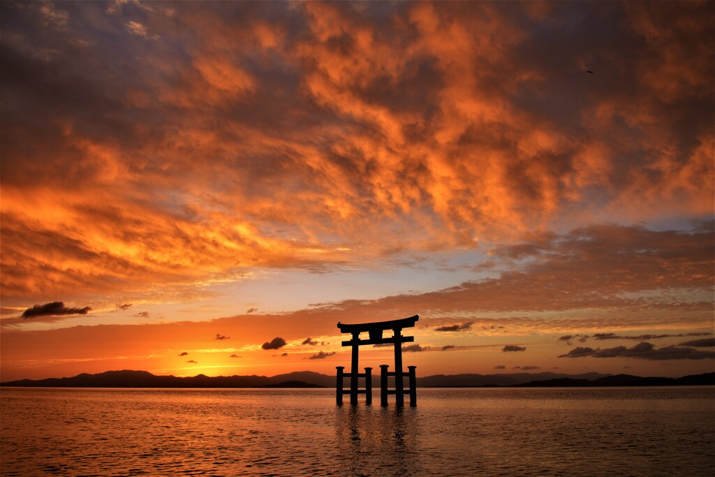 朝焼けの湖中鳥居