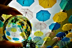 玉の花傘