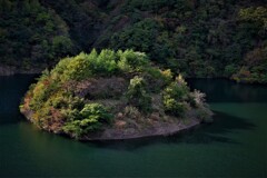 白龍湖の浮島　２
