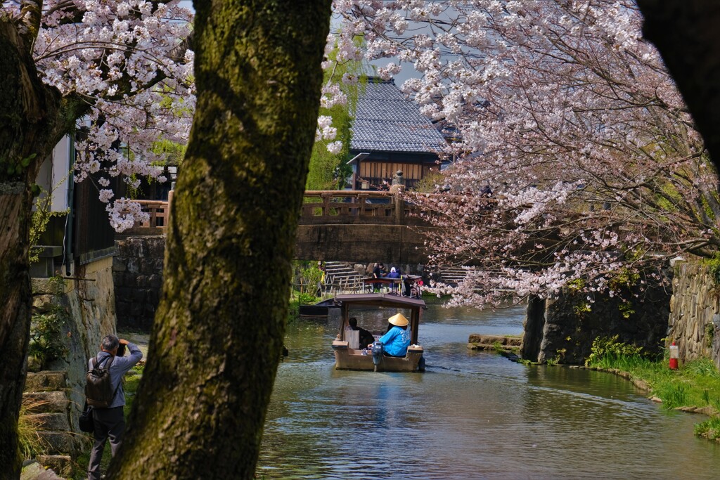 春の八幡堀散策　４