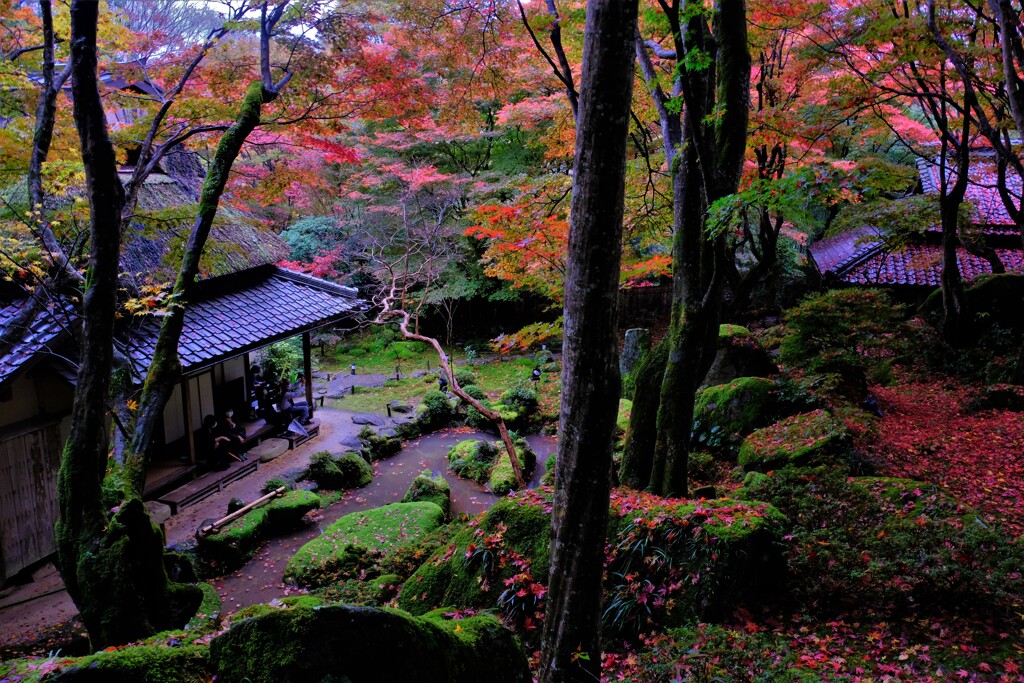 石の寺「教林坊」紅葉　２