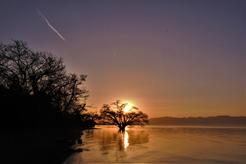 如月夕景