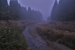 朝霧の針畑川