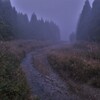朝霧の針畑川