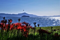 琵琶湖秋景