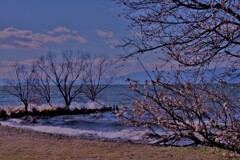 初春の琵琶の湖辺