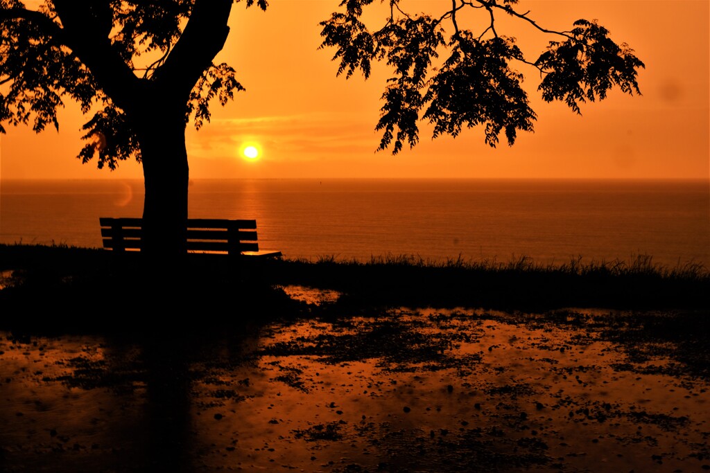落日の「あのベンチ」