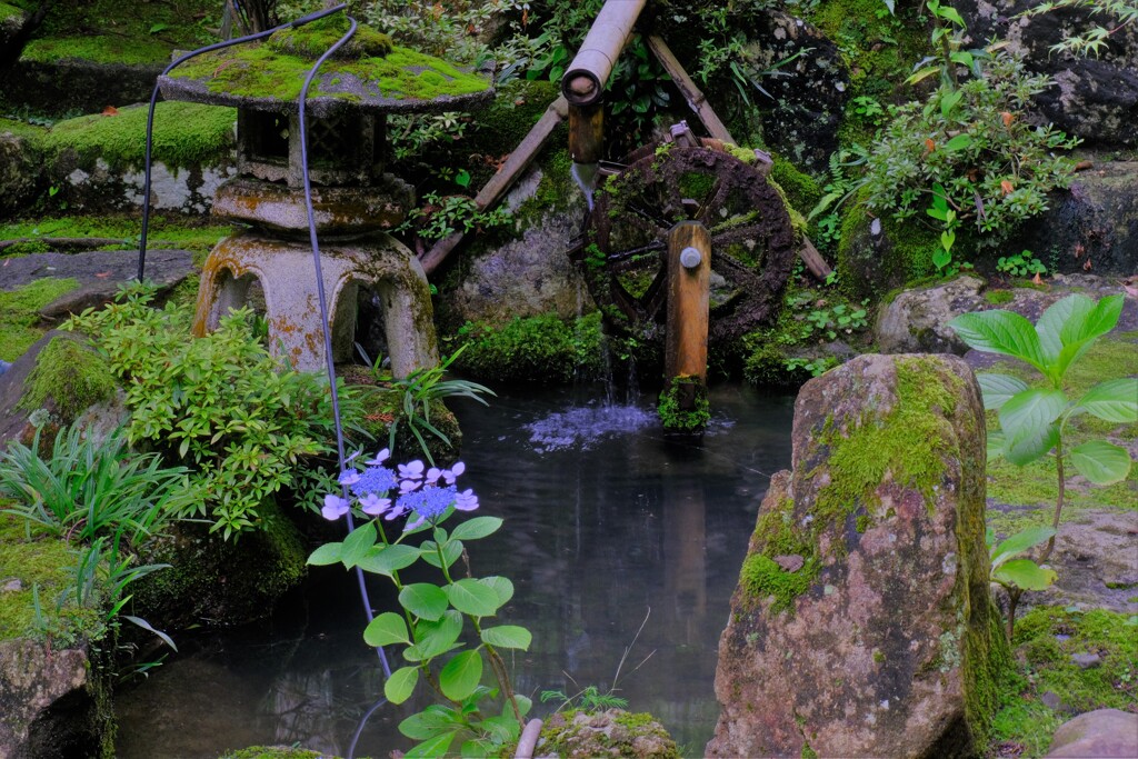 山水
