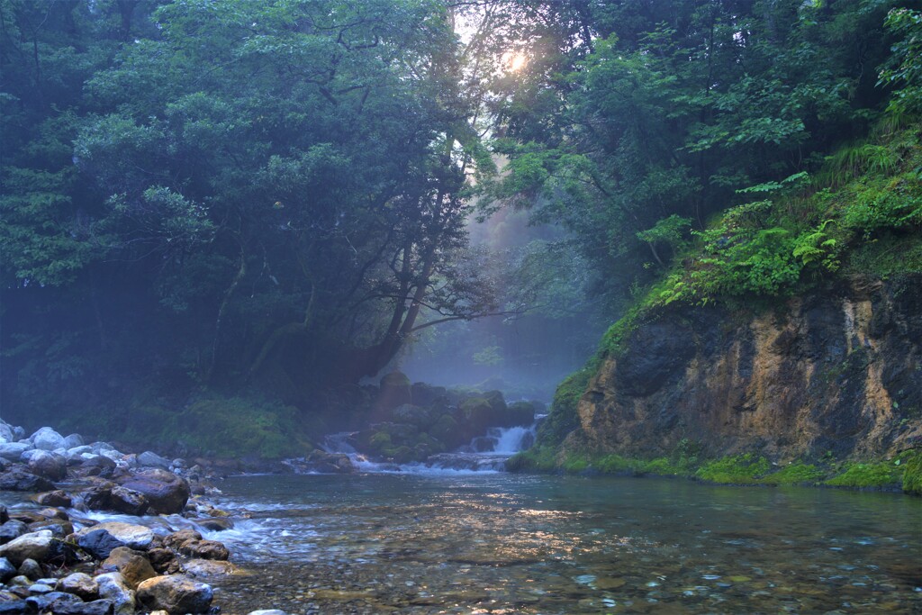 渓流の朝