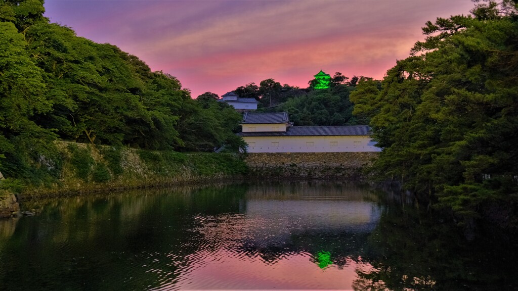 彦根城濠端夕暮れ　２
