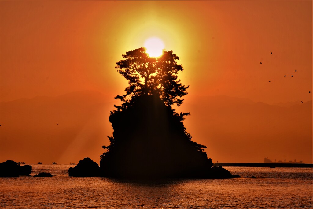 雨晴海岸朝景　９