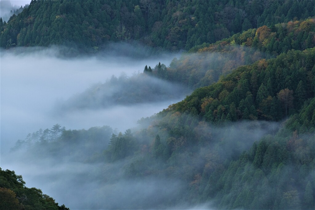 小入谷峠の朝景雲海　４