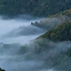 小入谷峠の朝景雲海　４