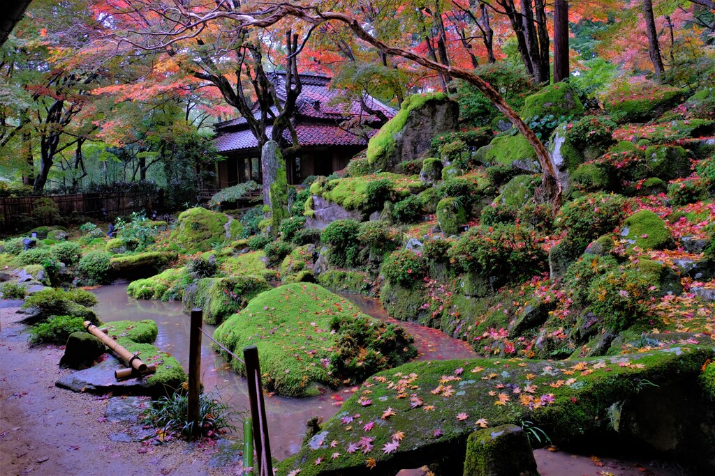 石の寺「教林坊」紅葉　８