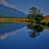 津屋川堤防の彼岸花　５
