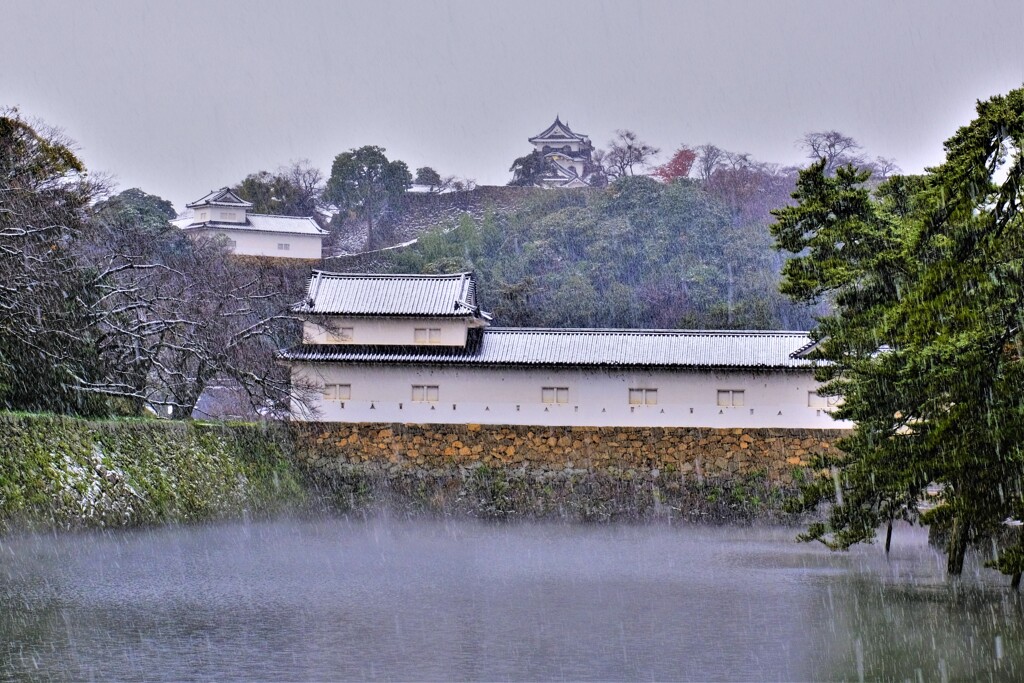 彦根城濠端寸景　Ⅰ