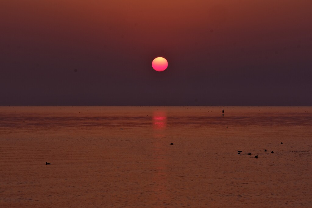 湖の朝日