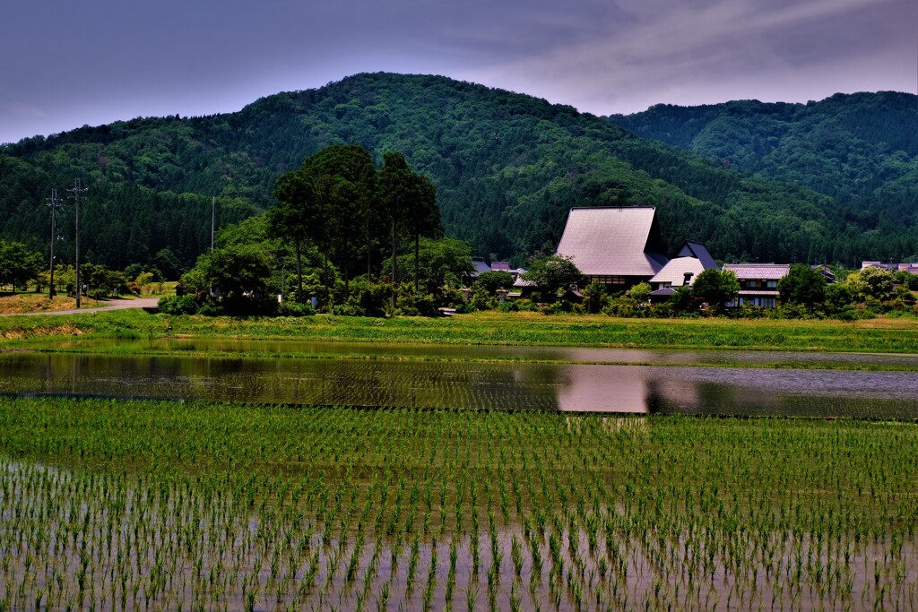 余呉全長寺初夏散歩　１