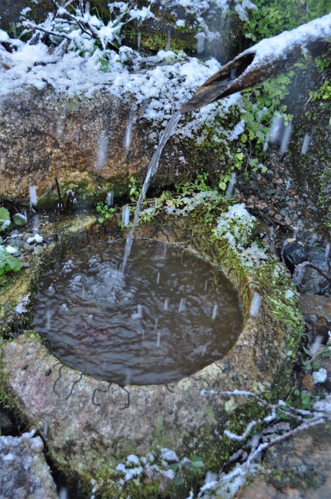 興聖寺手水