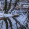 小さな森の水辺の冬物語　９