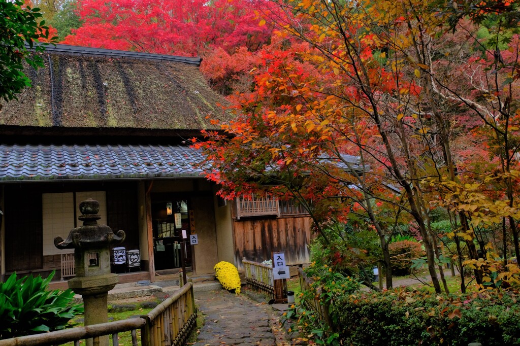 石の寺「教林坊」紅葉　１