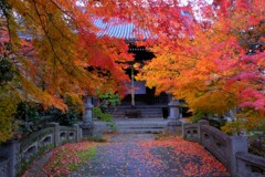 師走紅葉の長浜舎那院　Ⅰ