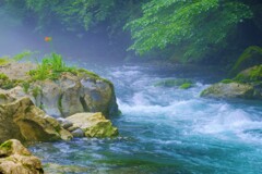 芹川急流