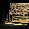 額縁桜