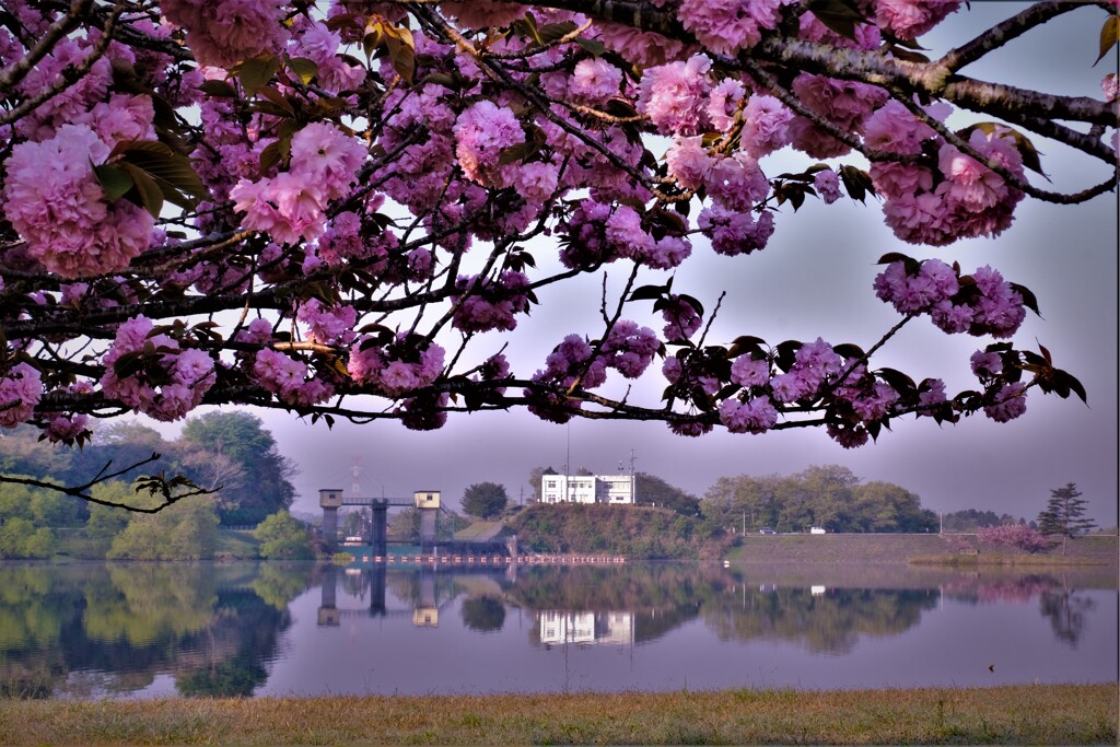 日野川ダム親水公園　３