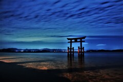 蒼の夜空の下