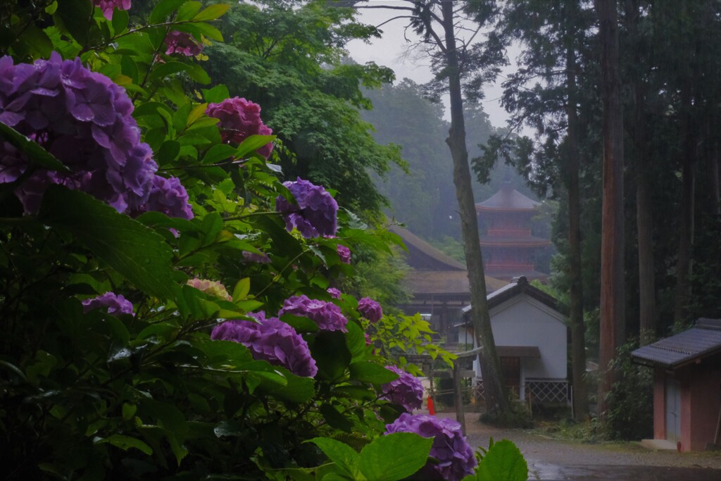 西国札所長命寺　６