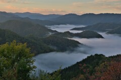 小入谷峠の朝景雲海　３