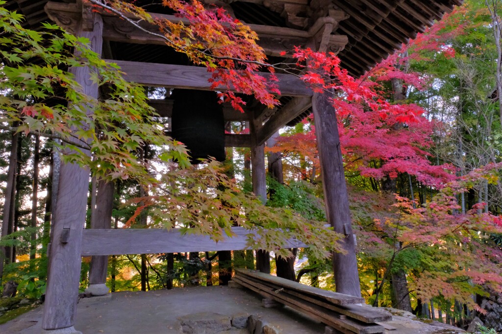 高源寺紅葉寸景　４