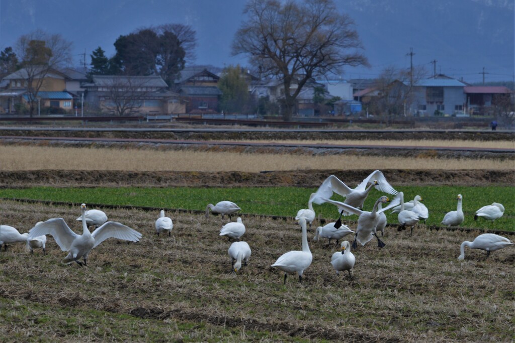 Landing
