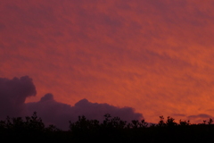 夕焼け空