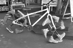自転車