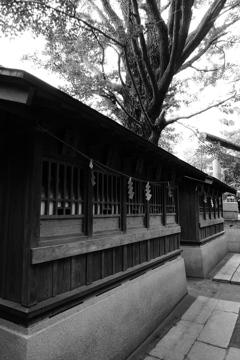 船橋大神宮下