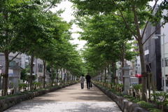 道のり