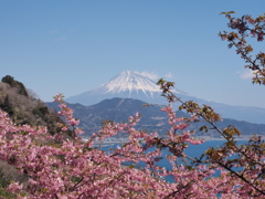 季節の変わり目
