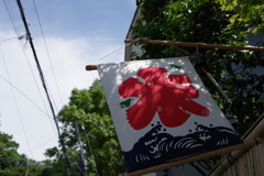 夏の訪れ