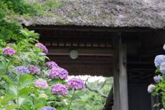 東慶寺にて