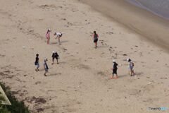 浜辺を掃除する小学生たち