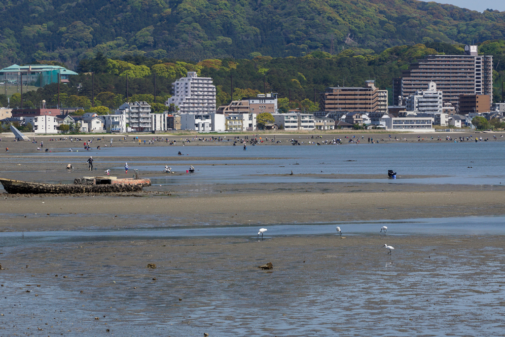 廃船も今日は楽しく