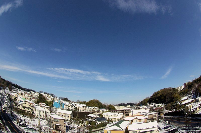 雪の降ったよく朝　　2011年2月15日