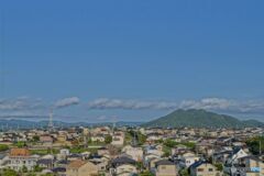 初夏の立花山