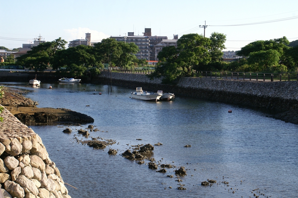 いつもの朝
