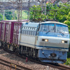 常磐線　EF66124
