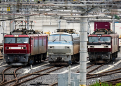 JR貨物　隅田川駅　EF66105