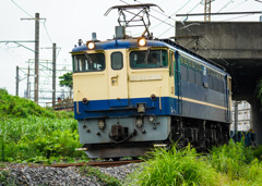 武蔵野線馬橋支線　EF652101